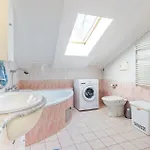 Pet Friendly In Spincici 카스타브