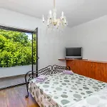 Pet Friendly In Spincici *