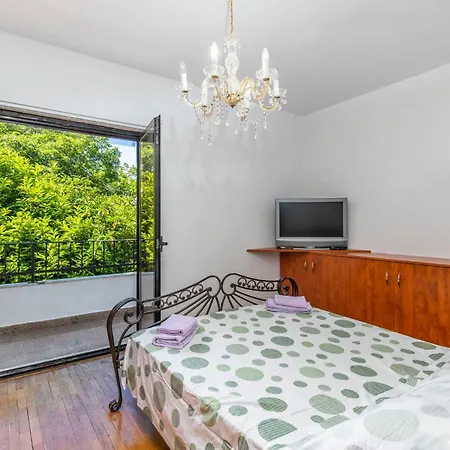 Pet Friendly In Spincici *