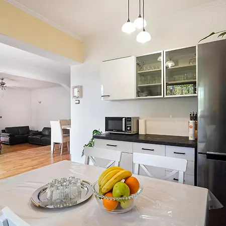 Pet Friendly In Spincici
